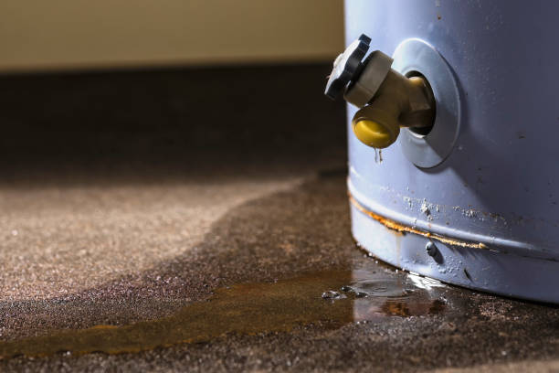 Best Flood damage cleanup  in Glasgow, DE