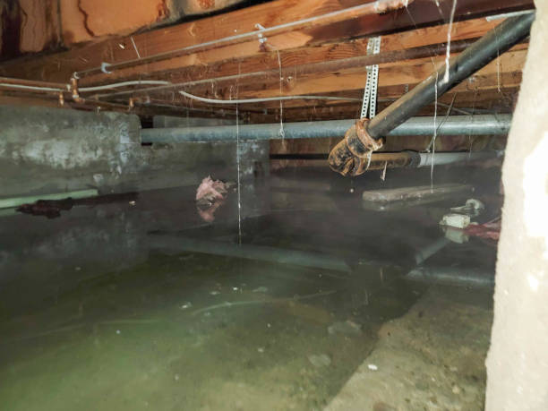 Best Flooded house restoration  in Glasgow, DE