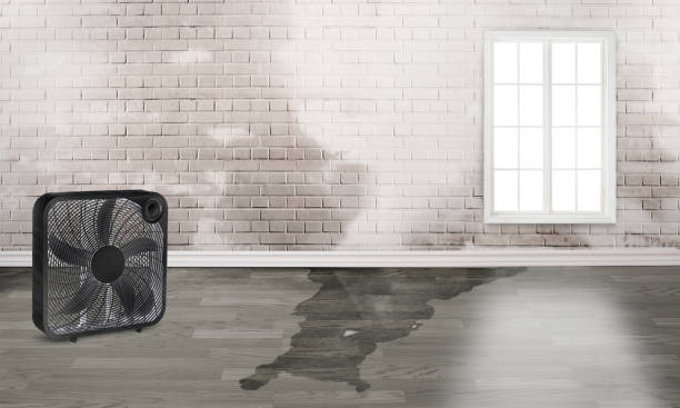 Water damage restoration mold remediation in Glasgow, DE