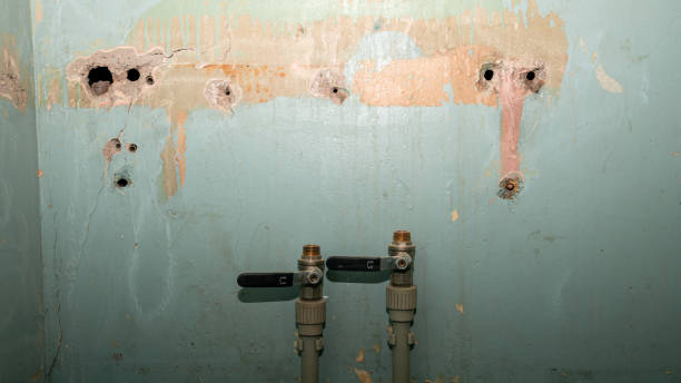 Best Water damage cleanup near me  in Glasgow, DE