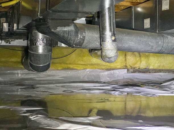 Best Local water damage restoration  in Glasgow, DE