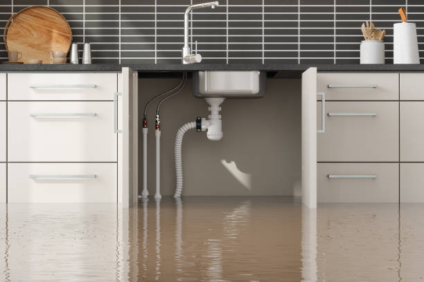 Best Water damage restoration near me  in Glasgow, DE