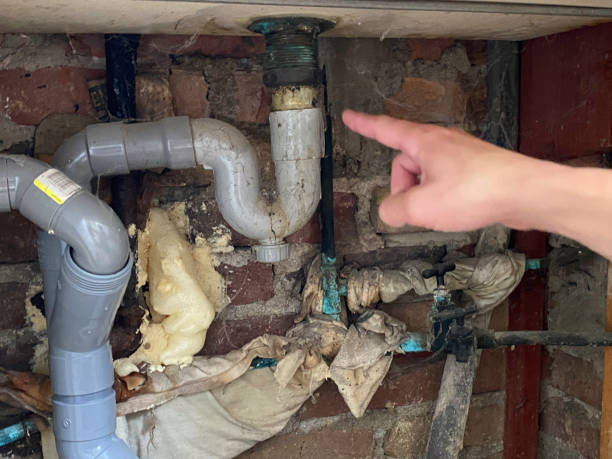 Best Professional water damage repair  in Glasgow, DE