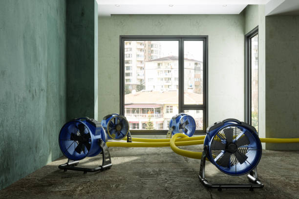 Best Sewage cleanup and water damage restoration  in Glasgow, DE